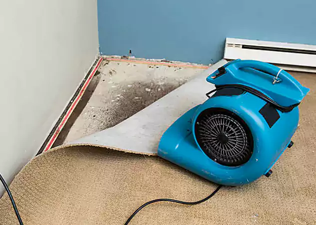 Your Water Damage Experts in Norcross, GA