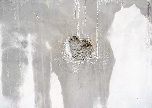 Your Mold Mitigation Solutions Partner in Norcross, GA