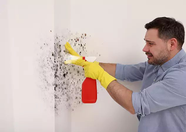 Your Water Mold Fire Restoration Partner in Norcross, GA