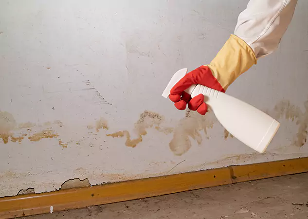Your Water Restoration and Mold Remediation Specialists in Norcross, GA
