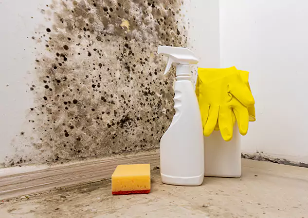 Your Reliable Restoration Company in Norcross, GA
