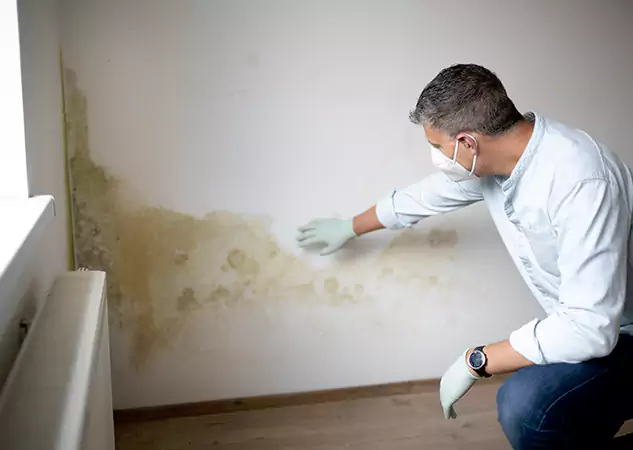 Reach Our Remediation Team Before Damage Grows in Norcross, GA!