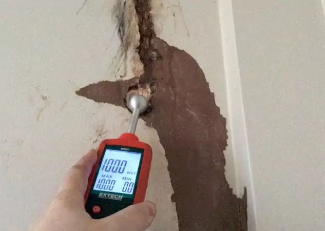 Your Water Damage Assessment Partner in Norcross, GA