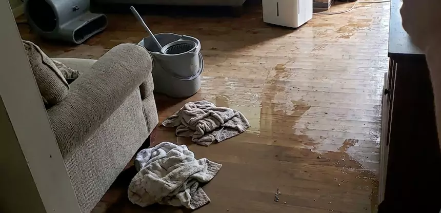 Professional Basement Water Remediation Services in Norcross, GA