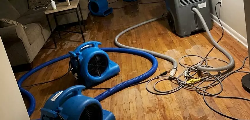 Basement Flood Restoration Services in Norcross