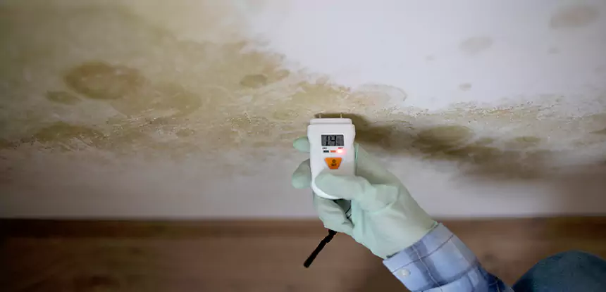 Emergency Mold Remediation in Norcross