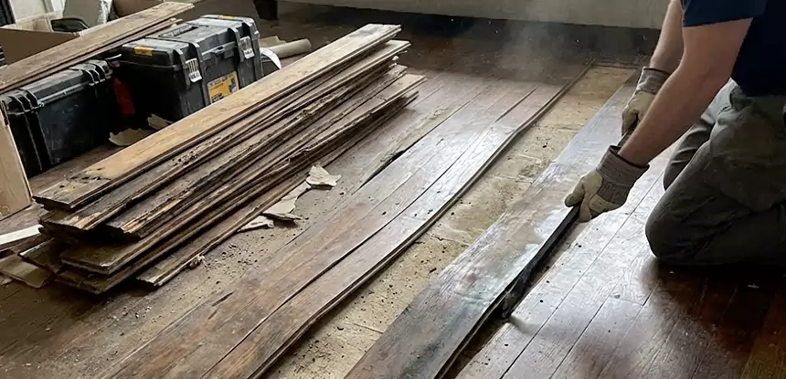 Wood Rot and Fungus Repair in Norcross