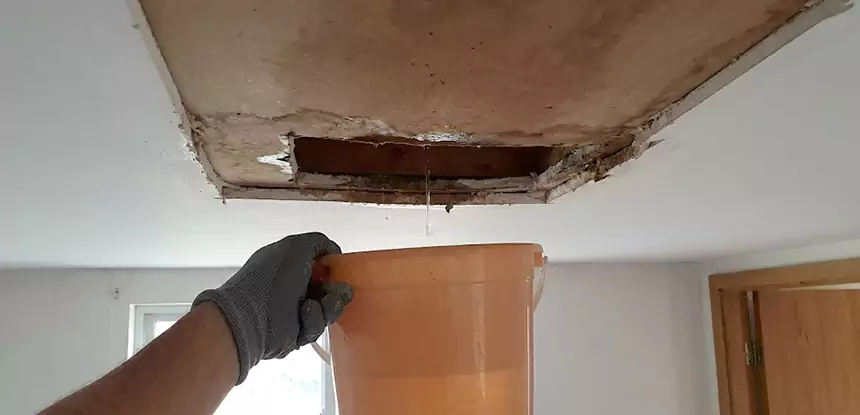 Ceiling Mold Repair Norcross 
