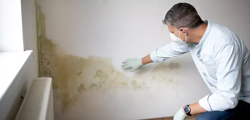 Mold and Water Damage Repair in Norcross