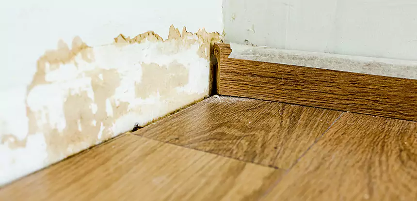 Professional Fix Water Damaged Wood Services in Norcross, GA