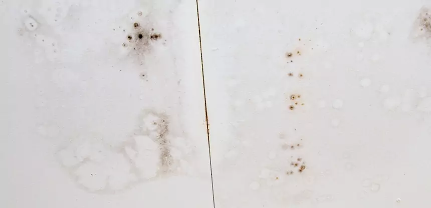 Professional Water Stain Repair Services in Norcross, GA