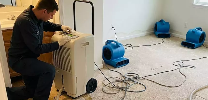 Professional Wet Carpet Removal Services in Norcross, GA