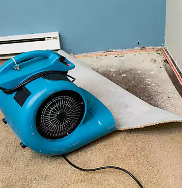 Why Norcross Trusts Norcross Restoration Pro for Carpet Flood Recovery?