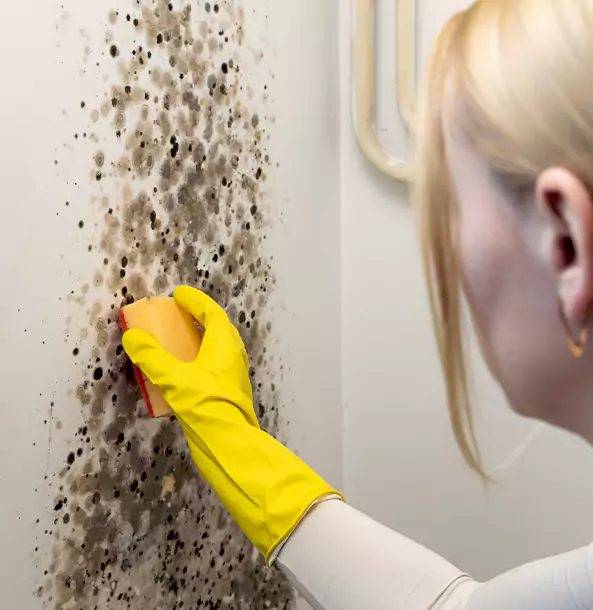 Why Norcross Restoration Pro Leads Mold Remediation in Norcross?