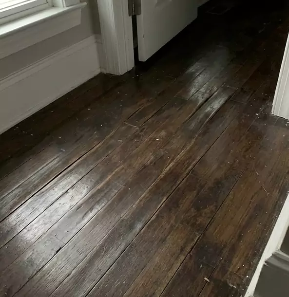 Why Norcross Homeowners Trust Norcross Restoration Pro to Fix Water Damaged Wood?