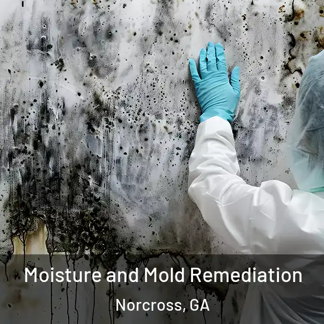  Moisture and Mold Remediation Norcross, GA