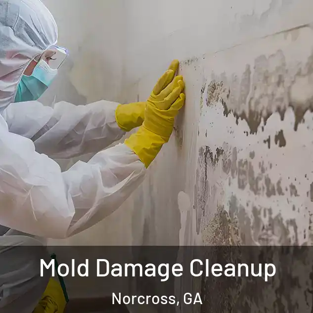  Mold Damage Cleanup Norcross, GA