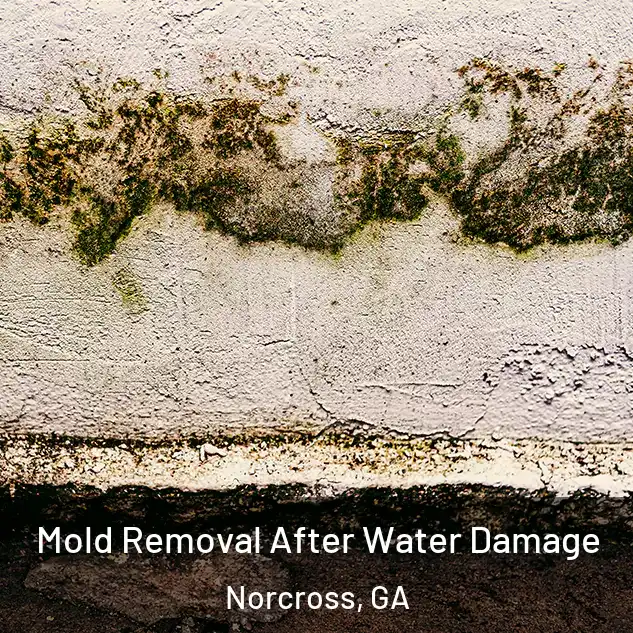  Mold Removal After Water Damage Norcross, GA