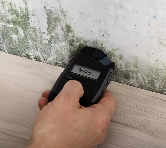 Mold Remediation Service Norcross