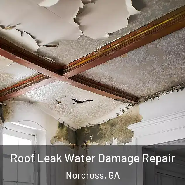  Roof Leak Water Damage Repair Norcross, GA