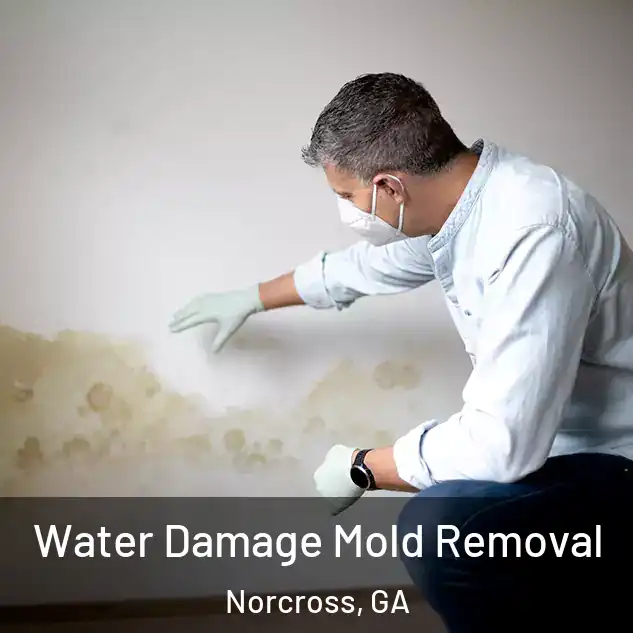  Water Damage Mold Removal Norcross, GA