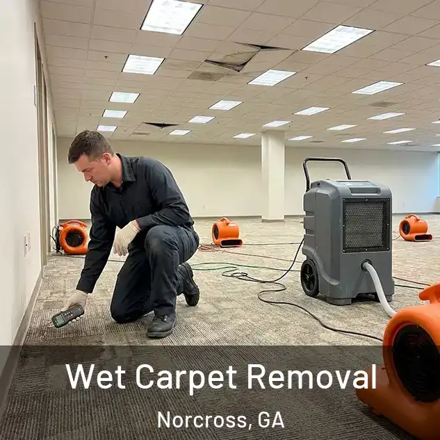  Wet Carpet Removal Norcross, GA